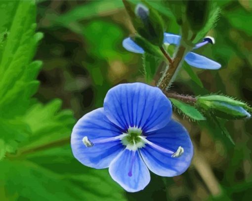 Blue Wildflower Diamond Painting