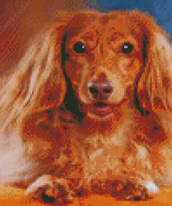 Brown Haired Dog Diamond Paintings