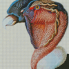 Close Up Condor Bird Diamond Paintings