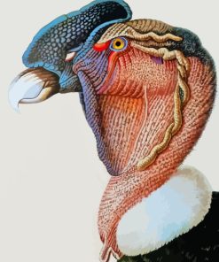Close Up Condor Bird Diamond Painting