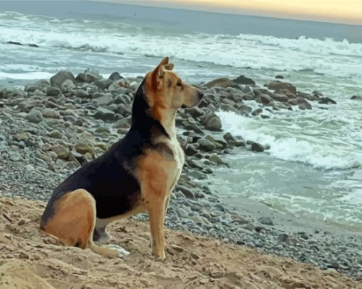 Dog On The Beach Diamond Painting