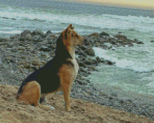 Dog On The Beach Diamond Paintings