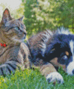 Cat And Dog Diamond Paintings