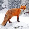 Fox In The Snow Diamond Painting