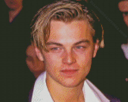 Leonardo DiCaprio Romeo Diamond Paintings