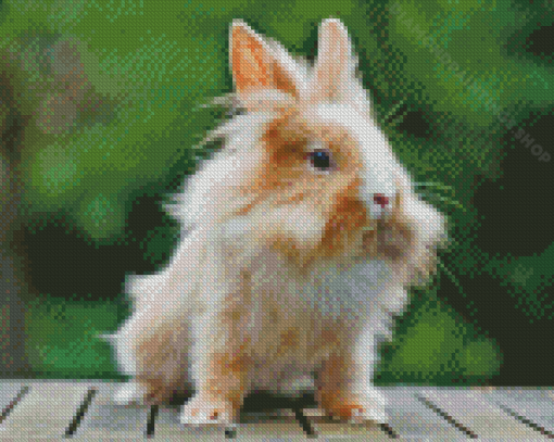 Lionhead Rabbit Diamond Paintings