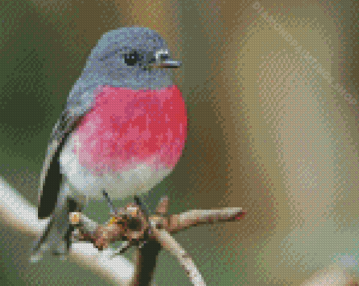 Rose Robin Bird Diamond Paintings