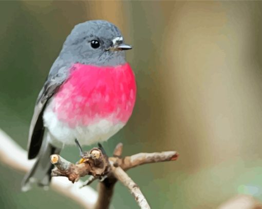 Rose Robin Bird Diamond Painting