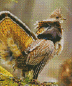 Ruffed Grouse Bird Diamond Paintings