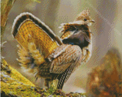 Ruffed Grouse Bird Diamond Paintings