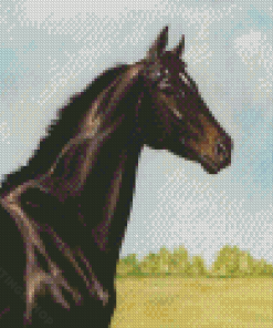 Ruffian The Race Horse Art Diamond Paintings