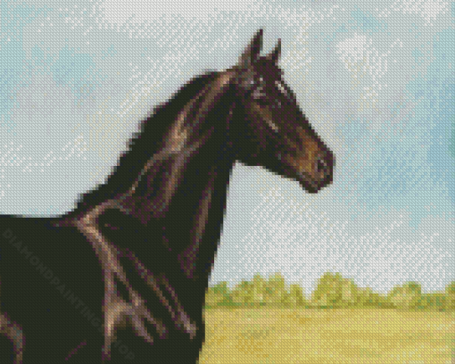 Ruffian The Race Horse Art Diamond Paintings