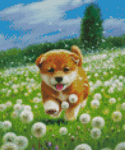 Shiba Puppy In Flower Field Diamond Paintings