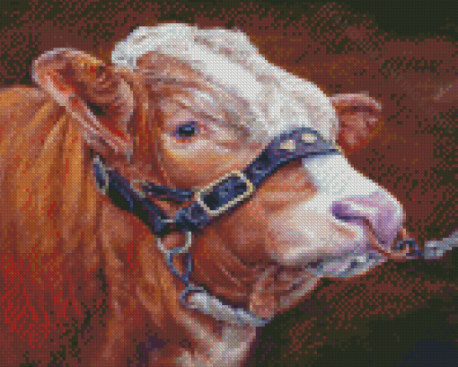 Simmental Cattle Art Diamond Paintings