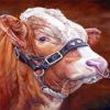 Simmental Cattle Art Diamond Painting