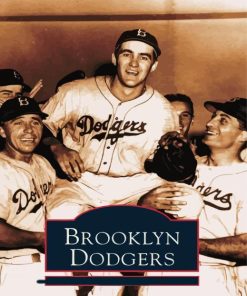 The Brooklyn Dodgers Poster Diamond Painting