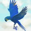 The Lear’s Macaw Diamond Painting