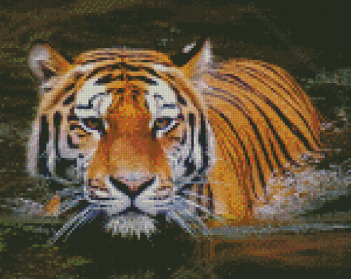 Tiger In Water Diamond Paintings