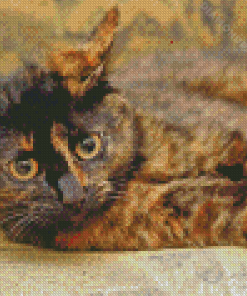 Tortoiseshell Cat Diamond Paintings