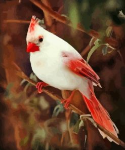 White Cardinal Diamond Painting