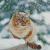Winter Cat Diamond Paintings