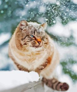 Winter Cat Diamond Painting