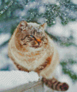 Winter Cat Diamond Paintings