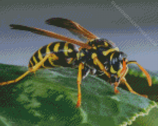 Yellow Jacket Insect Diamond Paintings