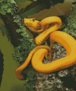 Yellow Snake On Tree Diamond Paintings