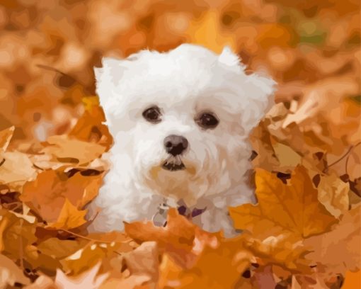 Adorable Bichon Maltais Diamond Painting