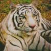 Aesthetic Albino Tiger Diamond Paintings