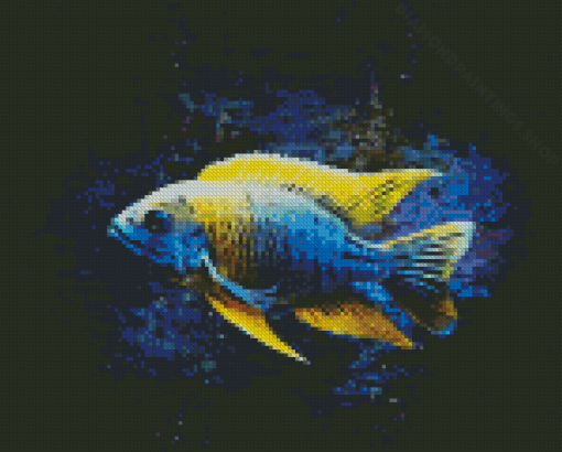 Aesthetic Cichlid Diamond Paintings