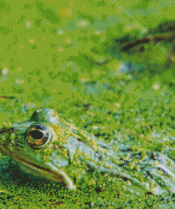 Aesthetic Swamp Frog Diamond Paintings