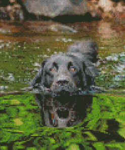 Black Dog In Water Diamond Paintings