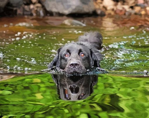 Black Dog In Water Diamond Painting