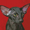 Black Oriental Shorthair Cat Diamond Paintings