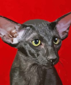 Black Oriental Shorthair Cat Diamond Painting