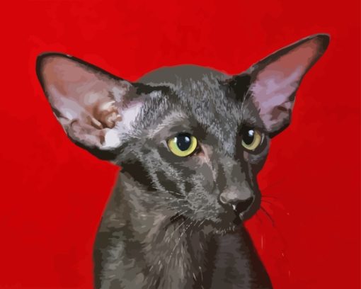 Black Oriental Shorthair Cat Diamond Painting