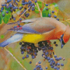 Cedar Waxwing Bird Diamond Paintings