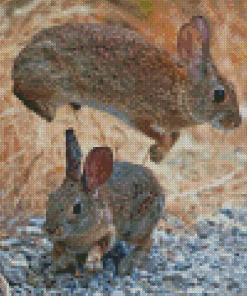 Leaping Rabbit Animal Diamond Paintings
