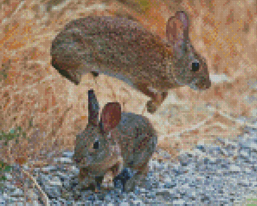 Leaping Rabbit Animal Diamond Paintings