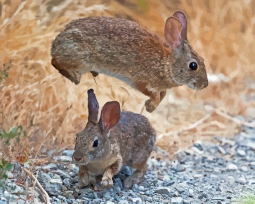 Leaping Rabbit Animal Diamond Painting