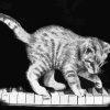 Monochrome Cat On Piano Diamond Painting
