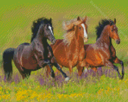 Mustang Horses Diamond Paintings