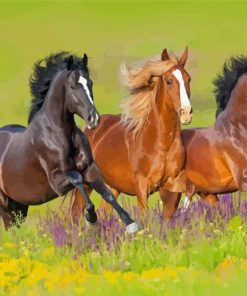 Mustang Horses Diamond Painting