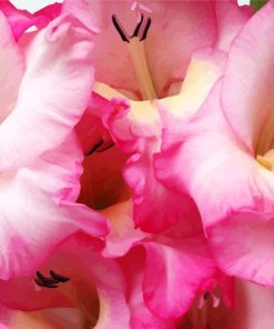 Pink Gladiolus Flower Diamond Painting