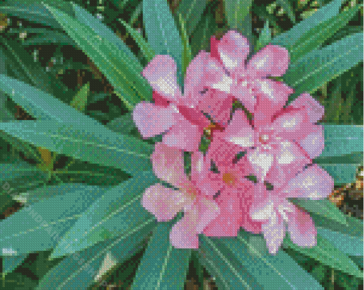 Pink Oleanders Diamond Paintings