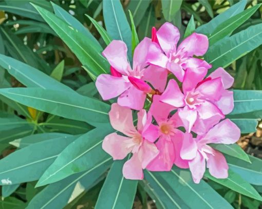 Pink Oleanders Diamond Painting