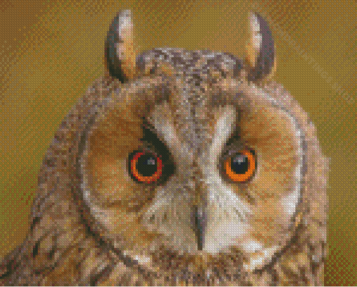 Red Eyed Owl Bird Diamond Paintings