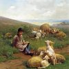 Sheep Farmer Boy Diamond Painting